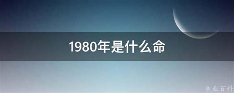 1980年是什么命